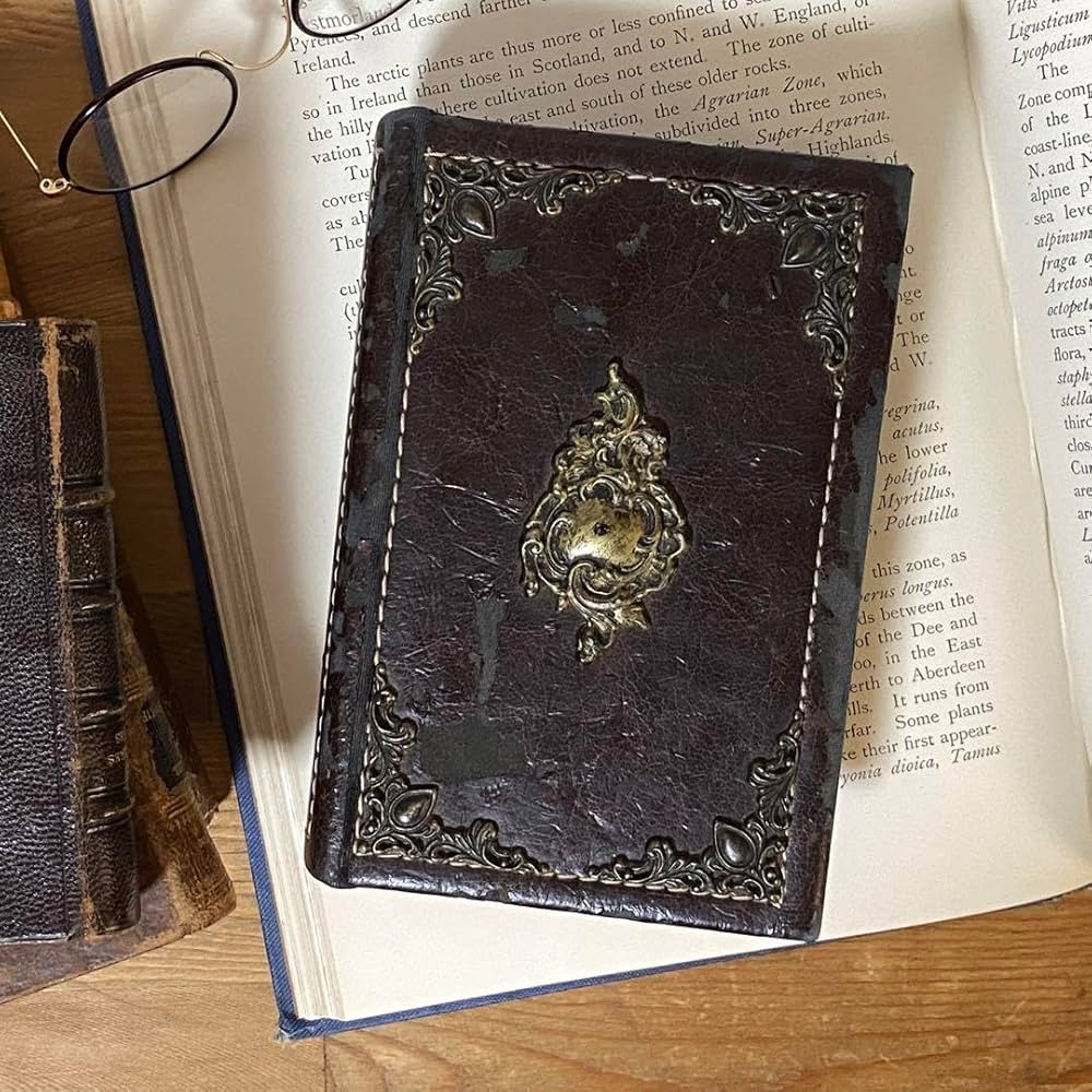 レア フランスアンティーク 洋書 本型 ボックス ケース Amazon.co.jp: レア フランスアンティーク 洋書 本型 ボックス